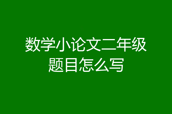 数学小论文二年级题目怎么写