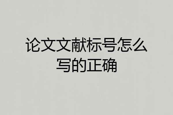 论文文献标号怎么写的正确