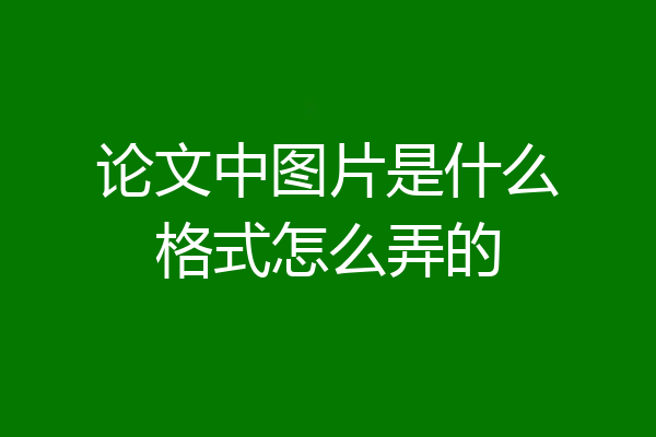 论文中图片是什么格式怎么弄的