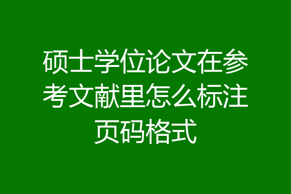 硕士学位论文在参考文献里怎么标注页码格式
