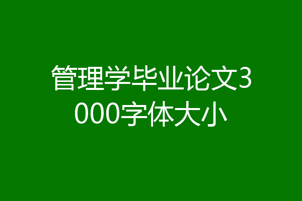 管理学毕业论文3000字体大小