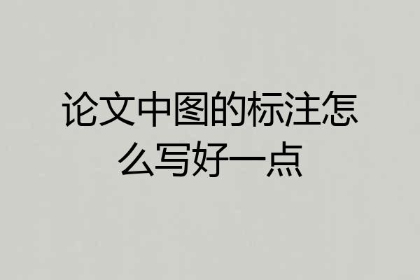 论文中图的标注怎么写好一点