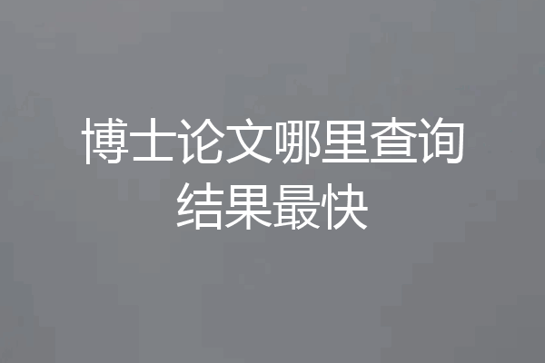 博士论文哪里查询结果最快