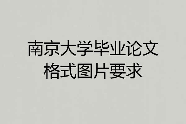 南京大学毕业论文格式图片要求