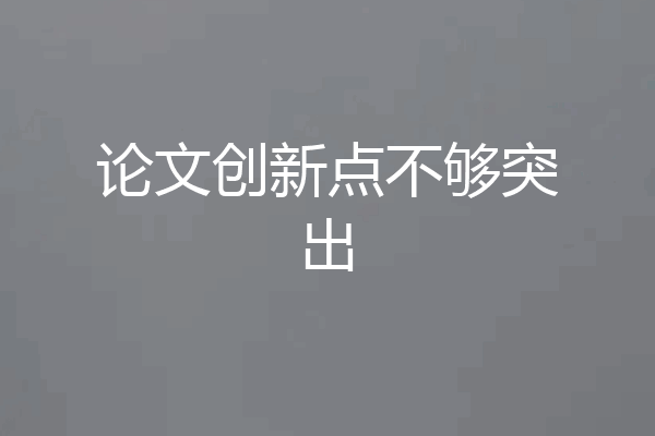 论文创新点不够突出