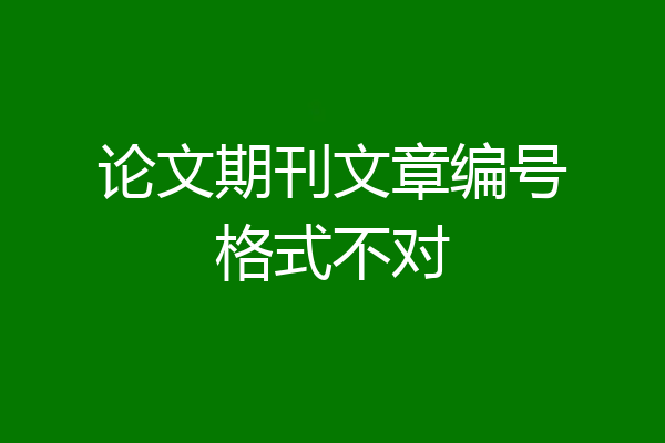 论文期刊文章编号格式不对