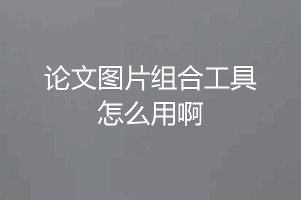 论文图片组合工具怎么用啊