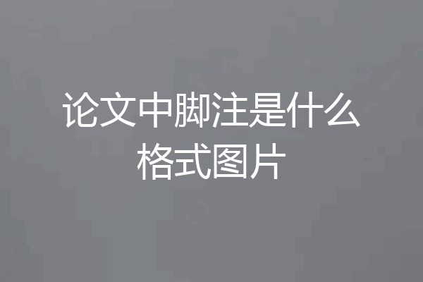 论文中脚注是什么格式图片