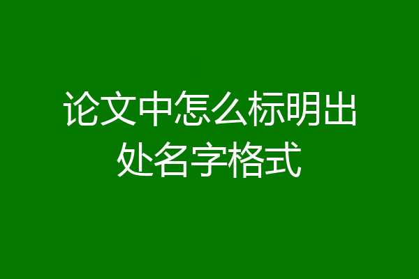 论文中怎么标明出处名字格式