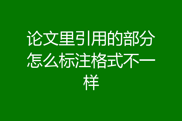 论文里引用的部分怎么标注格式不一样