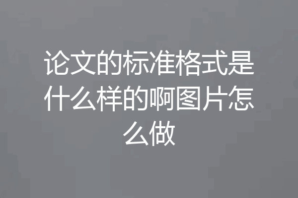 论文的标准格式是什么样的啊图片怎么做