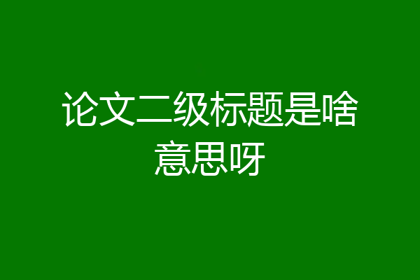 论文二级标题是啥意思呀