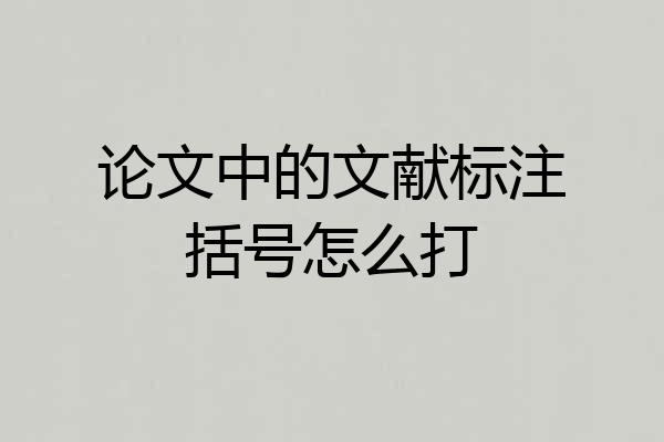 论文中的文献标注括号怎么打