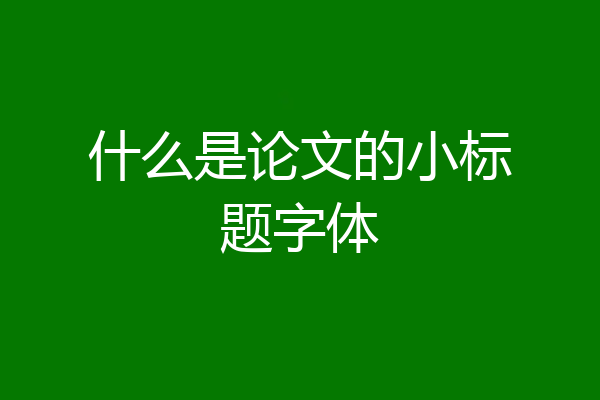 什么是论文的小标题字体