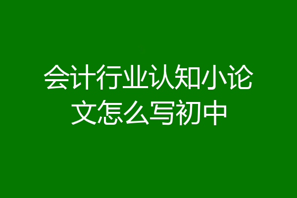 会计行业认知小论文怎么写初中