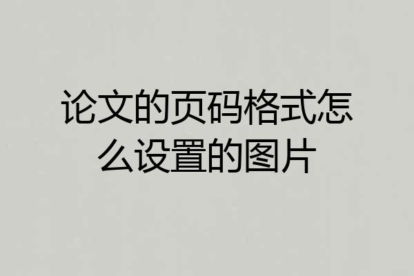 论文的页码格式怎么设置的图片