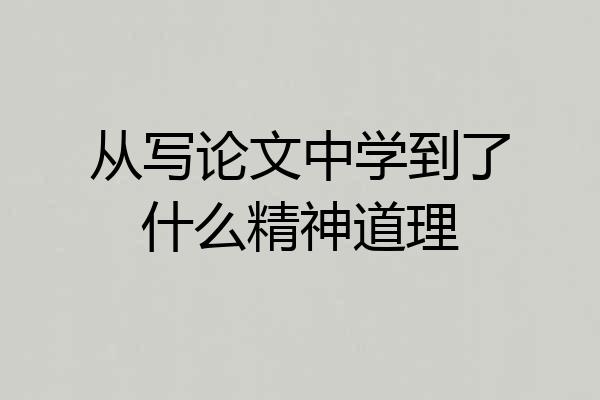 从写论文中学到了什么精神道理