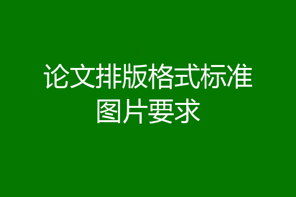 论文排版格式标准图片要求