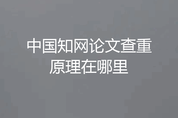 中国知网论文查重原理在哪里