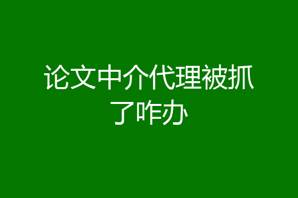 论文中介代理被抓了咋办