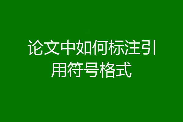 论文中如何标注引用符号格式