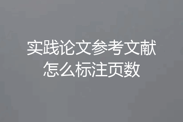 实践论文参考文献怎么标注页数