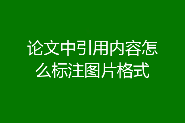 论文中引用内容怎么标注图片格式