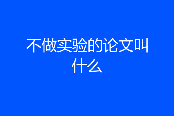 不做实验的论文叫什么