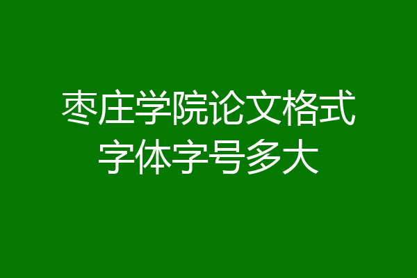 枣庄学院论文格式字体字号多大