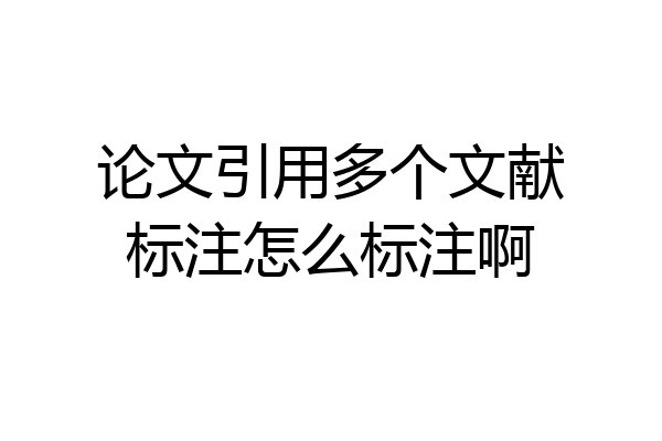 论文引用多个文献标注怎么标注啊
