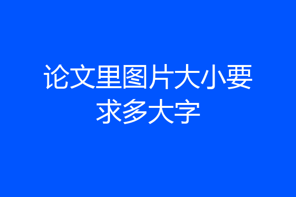 论文里图片大小要求多大字