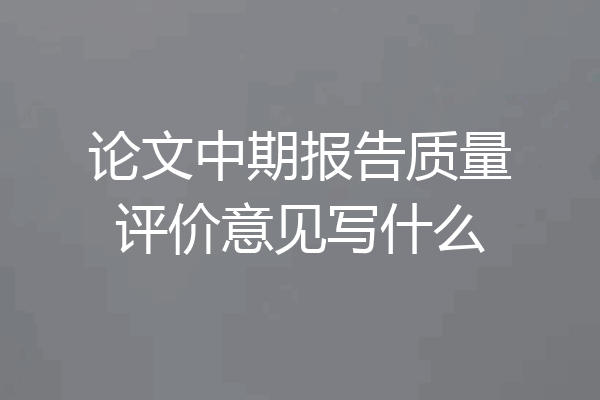 论文中期报告质量评价意见写什么
