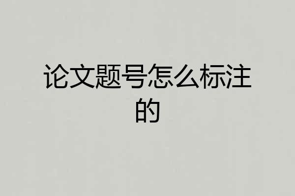 论文题号怎么标注的