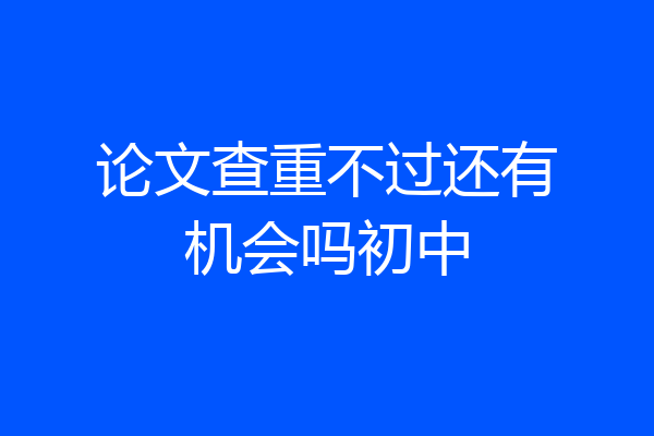 论文查重不过还有机会吗初中