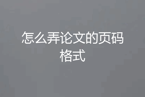 怎么弄论文的页码格式
