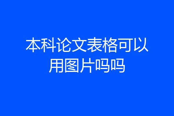 本科论文表格可以用图片吗吗