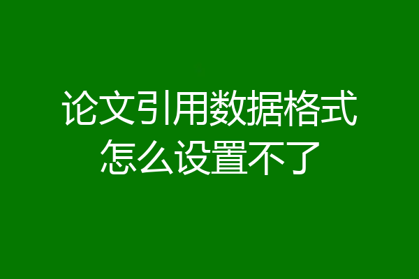 论文引用数据格式怎么设置不了