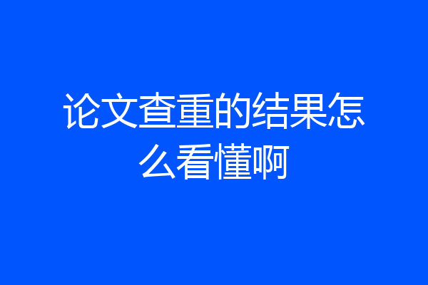 论文查重的结果怎么看懂啊