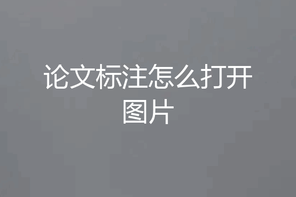论文标注怎么打开图片