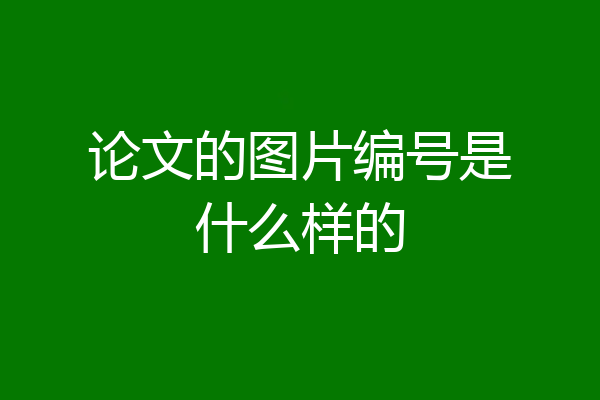 论文的图片编号是什么样的