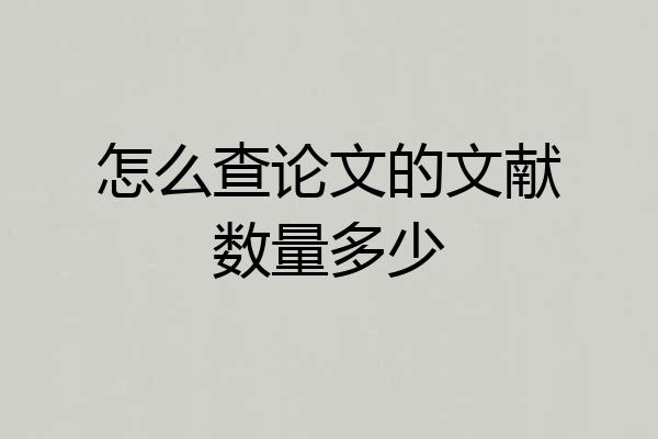 怎么查论文的文献数量多少