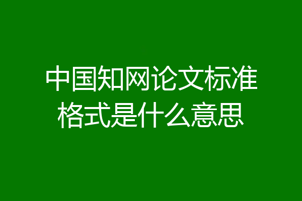 中国知网论文标准格式是什么意思