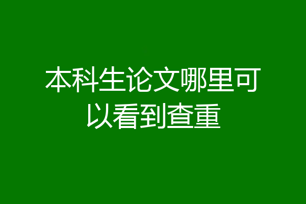 本科生论文哪里可以看到查重