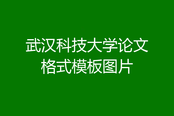 武汉科技大学论文格式模板图片