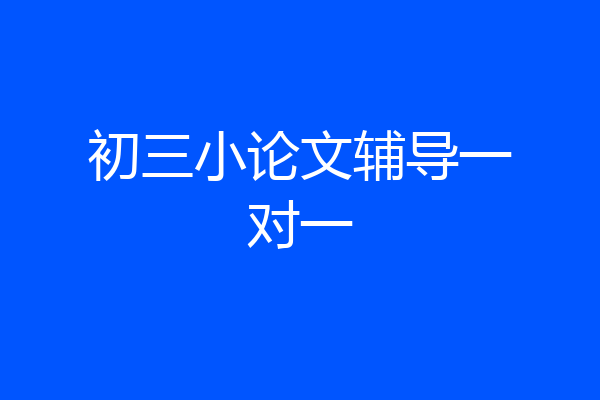 初三小论文辅导一对一