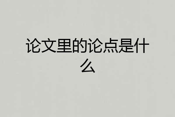论文里的论点是什么
