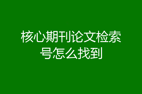 核心期刊论文检索号怎么找到