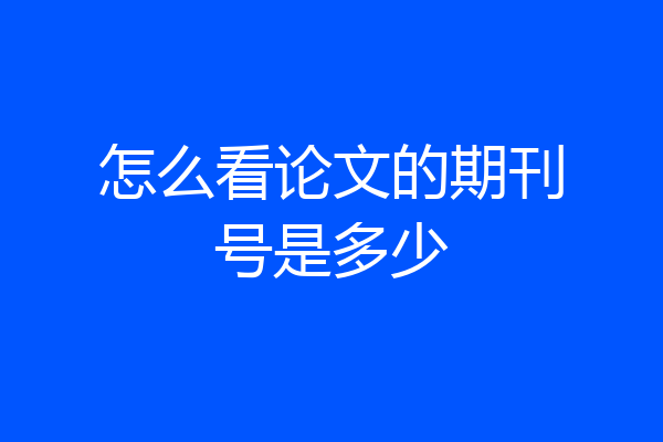怎么看论文的期刊号是多少