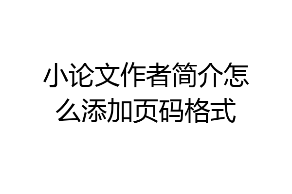 小论文作者简介怎么添加页码格式