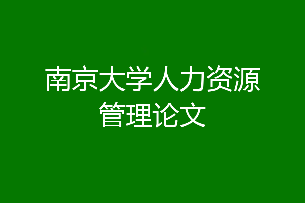 南京大学人力资源管理论文